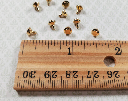 Dollhouse Tiny Gold Brass Knobs for Door or Drawer Pulls 10 pcs 1:12 Scale