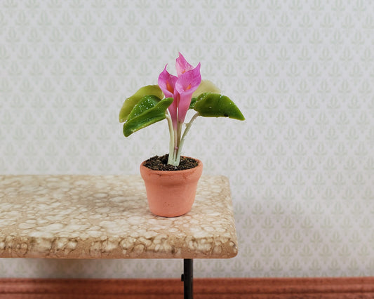 Dollhouse Potted Calla Lily Pink Flowering Plant Clay Pot 1:12 Scale Miniature