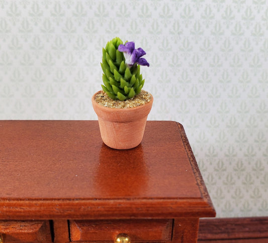 Dollhouse Cactus Purple Flowering Plant in a Terra Cotta Planter 1:12 Scale Miniature