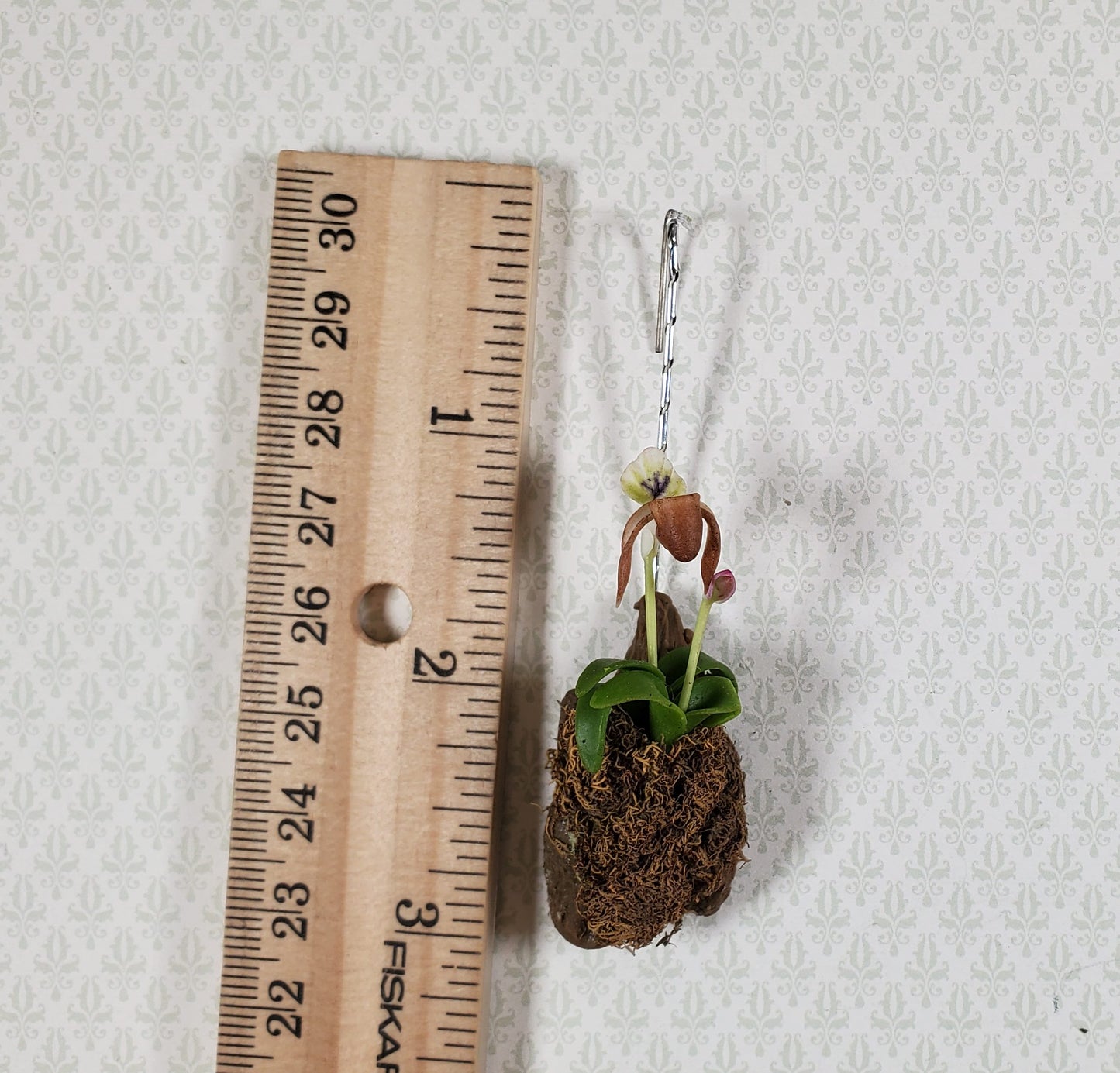 Dollhouse Hanging Cup Orchid on Bark with Moss Flowering Plant 1:12 Scale