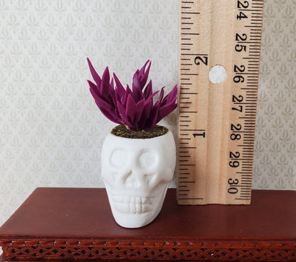 Dollhouse Blood Amaranth in a Large White Skull Planter Pot 1:12 Scale Miniature