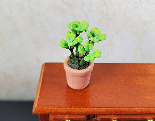 Dollhouse Miniature Lucky Four Leaf Clovers in Terra Cotta 1:12 Scale Miniature