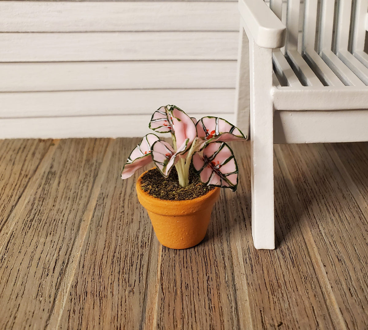 Dollhouse Houseplant Caladium Potted Plant 1:12 Scale Miniature Terra Cotta Pot
