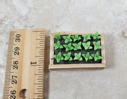 Dollhouse Green Seedlings in a Rectangular Wood Tray 1:12 Scale Miniature