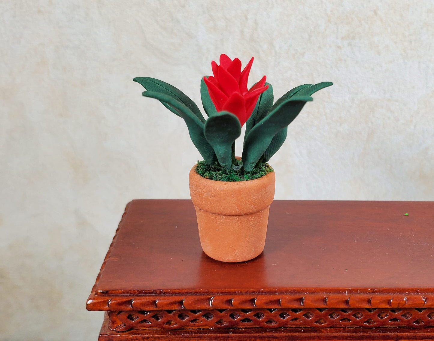 Dollhouse Bromeliad with Red Flower in Terra Cotta Pot 1:12 Scale Miniature