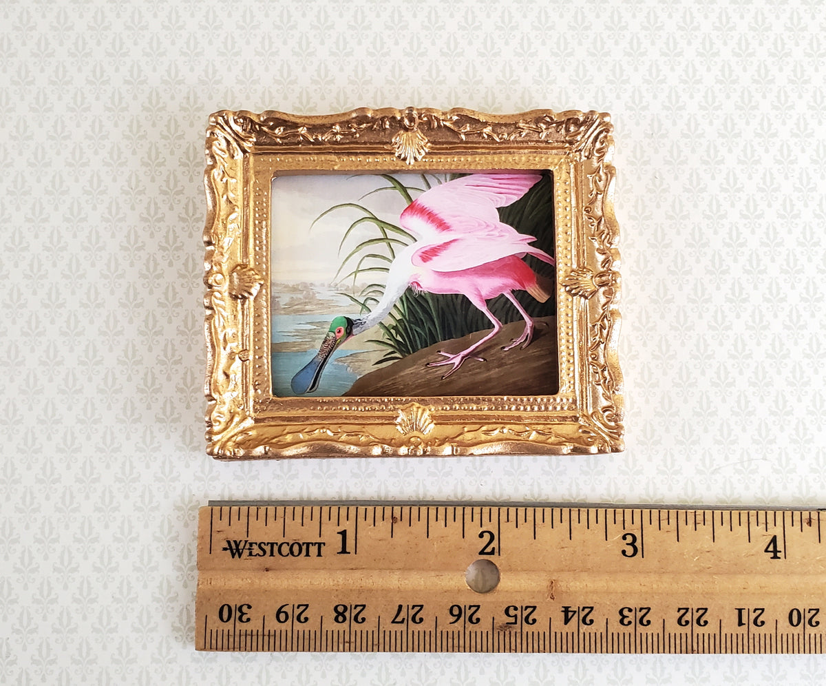 Miniature Framed Bird Print Roseate Spoonbill John James Audubon 1:12 Scale