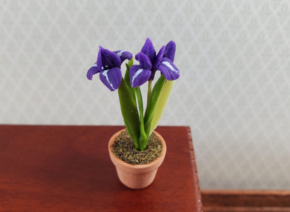 Dollhouse Purple Irises Plant in Terra Cotta Planter 1:12 Scale Miniature Garden