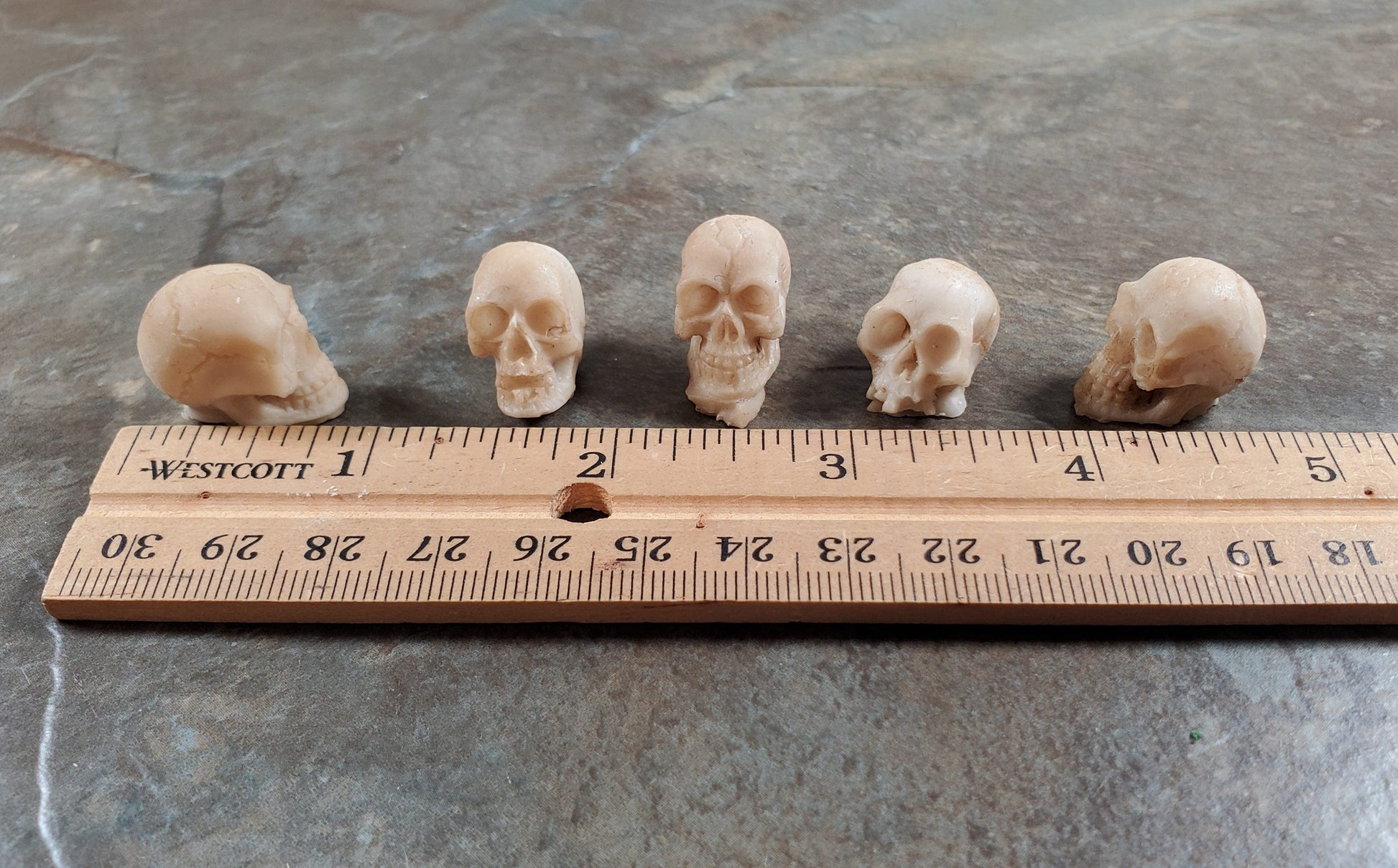 Miniature Skulls Tiny 5 Random 1:12 Scale Halloween Decoration Scale Model Resin