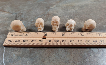 Miniature Skulls Tiny 5 Random 1:12 Scale Halloween Decoration Scale Model Resin