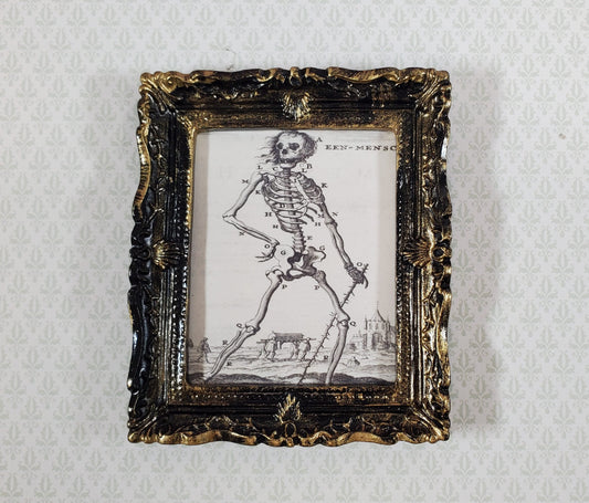 Miniature Skeleton Print Een Mensch 1680 Drawing 1:12 Scale Halloween House