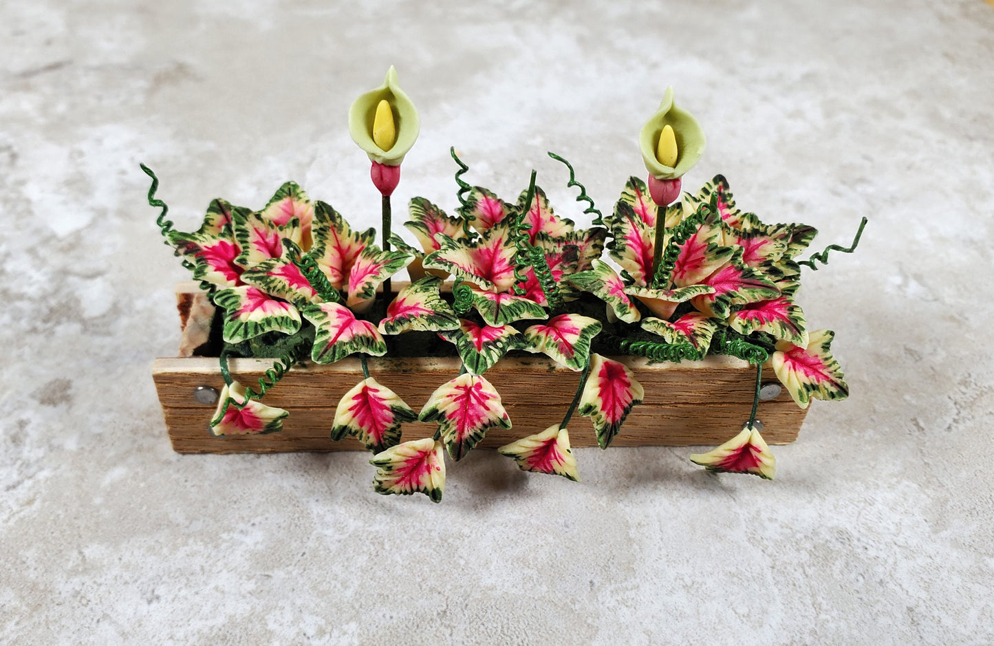 Dollhouse Caladiums in a 3.25" Wooden Window Box Planter 1:12 Scale Miniature