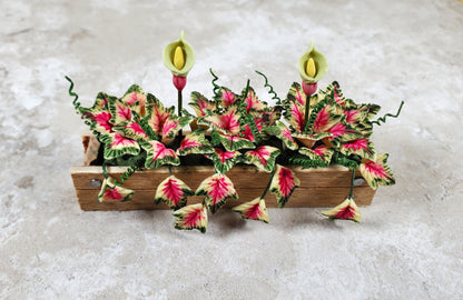 Dollhouse Caladiums in a 3.25" Wooden Window Box Planter 1:12 Scale Miniature