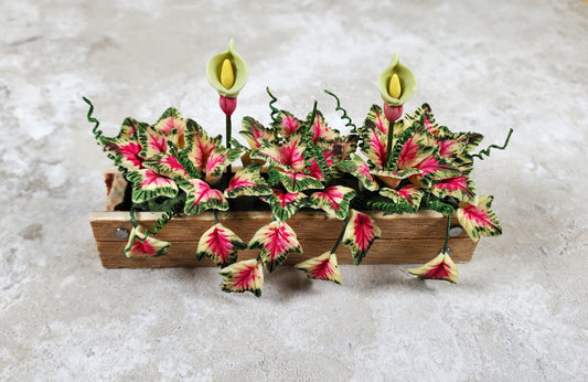 Dollhouse Caladiums in a 3.25" Wooden Window Box Planter 1:12 Scale Miniature