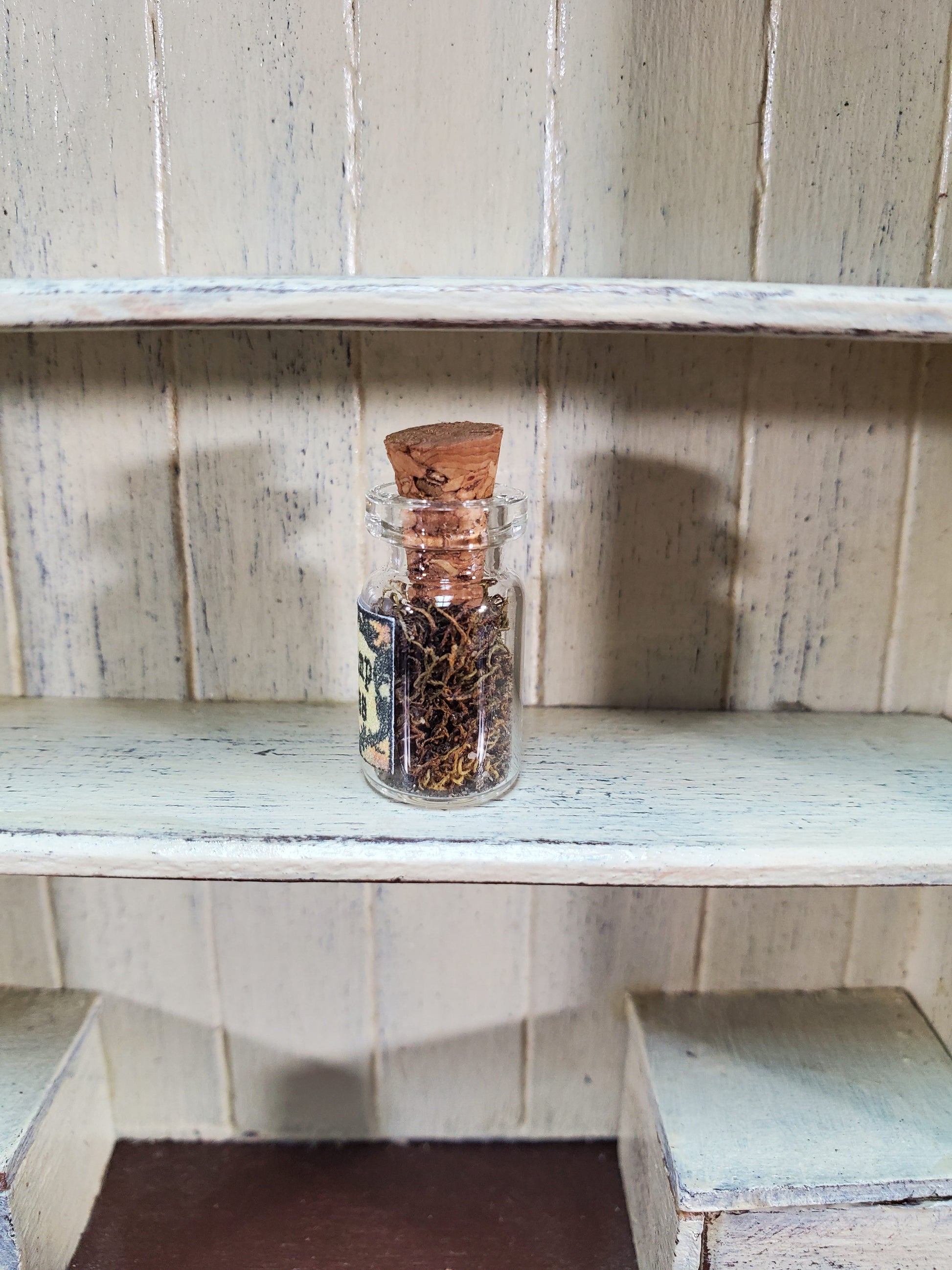 Dollhouse Spell Ingredient Swamp Moss in Glass Jar with Cork 1:12 Scale