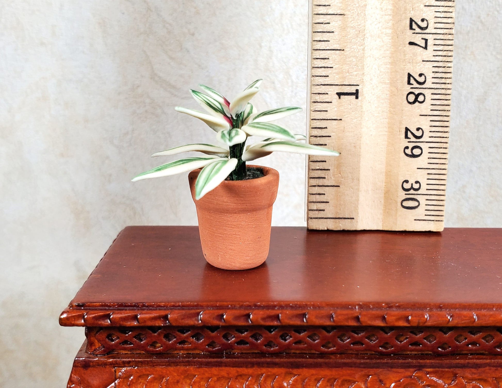 Dollhouse Blushing Bromeliad Variegated Plant in Terra Cotta Pot 1:12 Scale