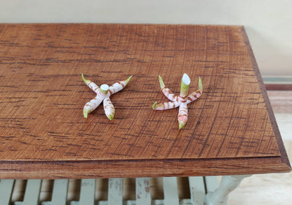 Dollhouse Ginger Root 2 Bunches 1:12 Scale Miniature Food Kitchen Grocer