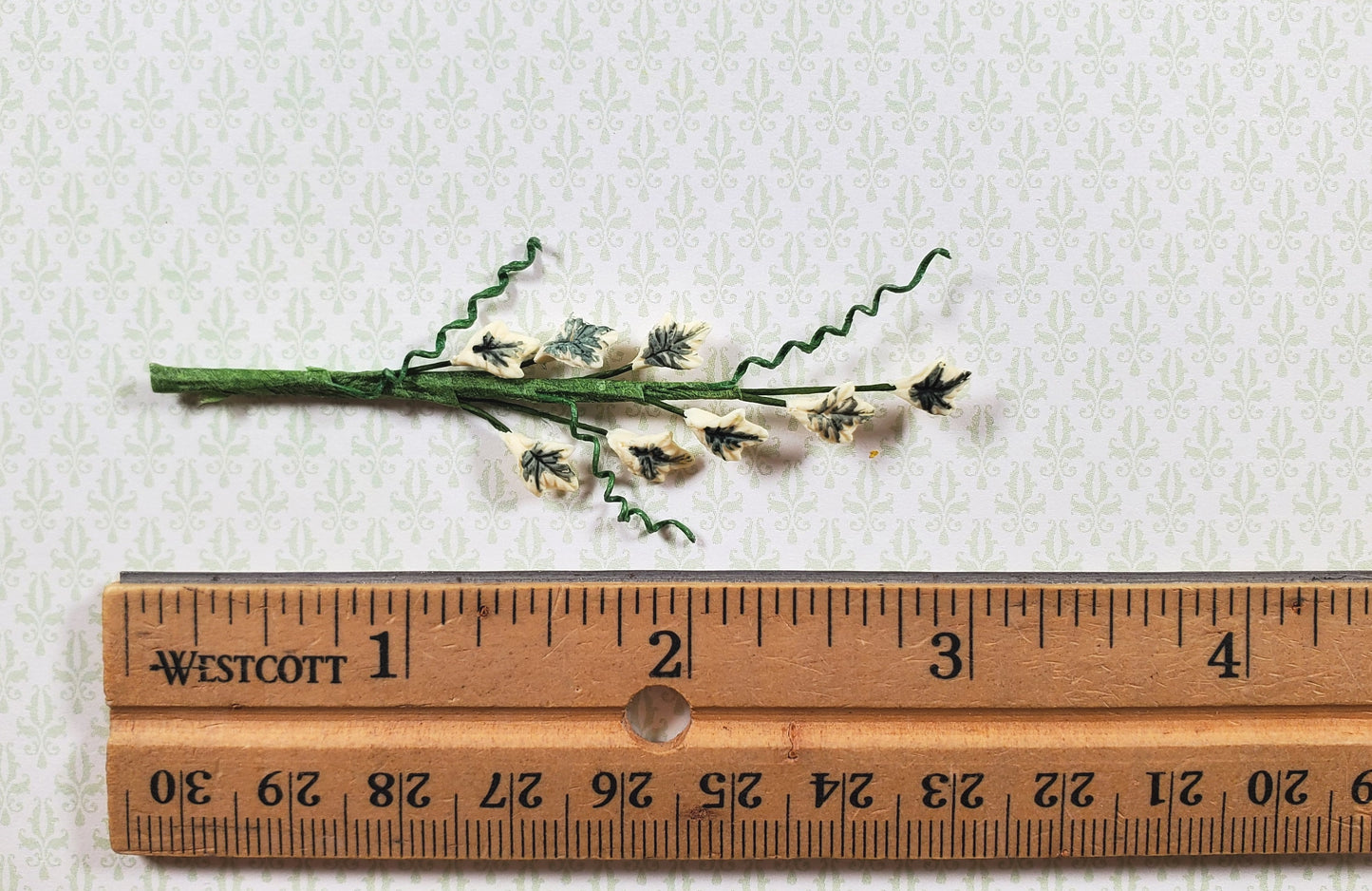 Dollhouse Single English Ivy Small Stem with Foliage 1:12 Scale Miniature