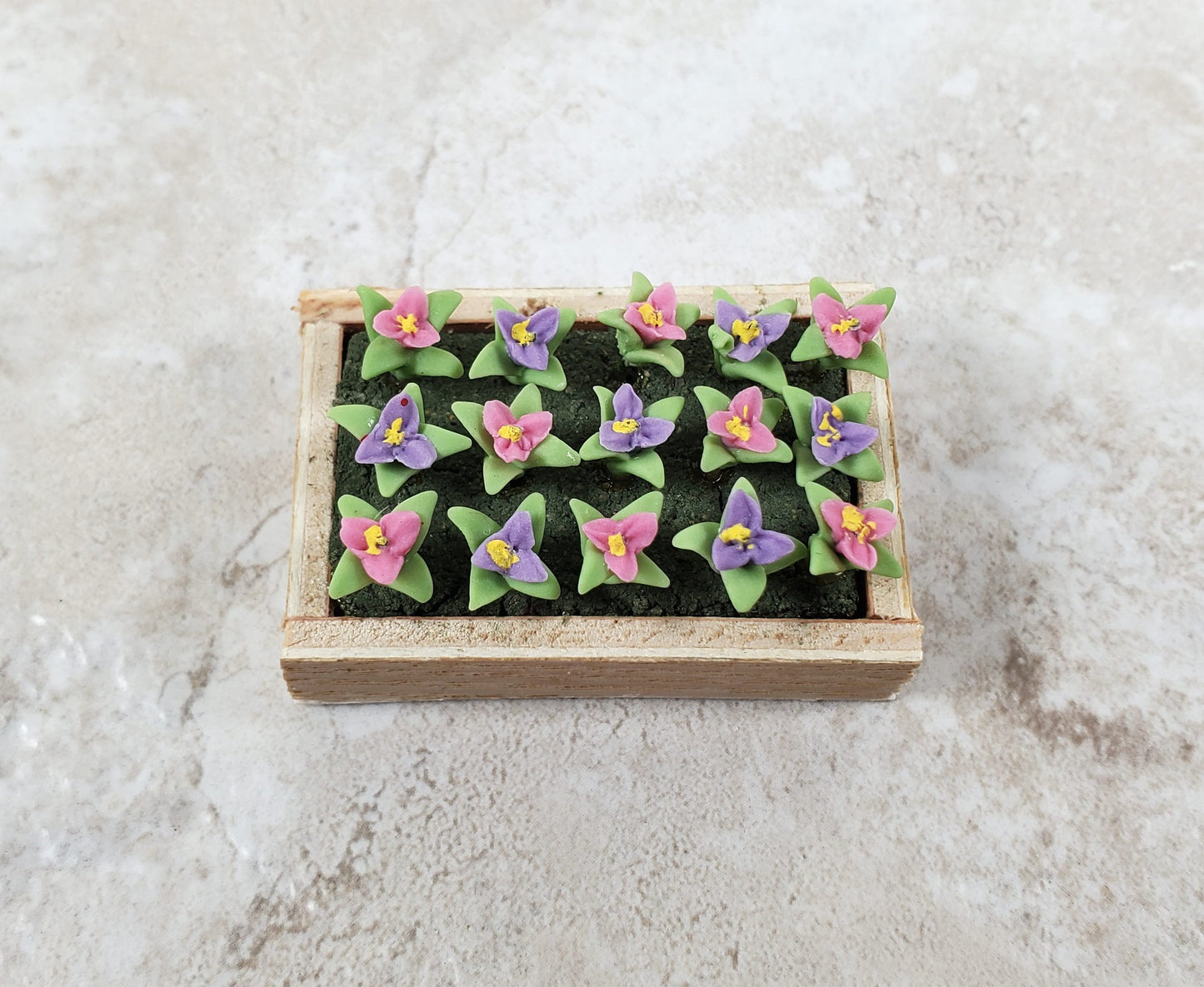 Dollhouse Colorful Seedlings in a Rectangular Wood Tray 1:12 Scale Miniature