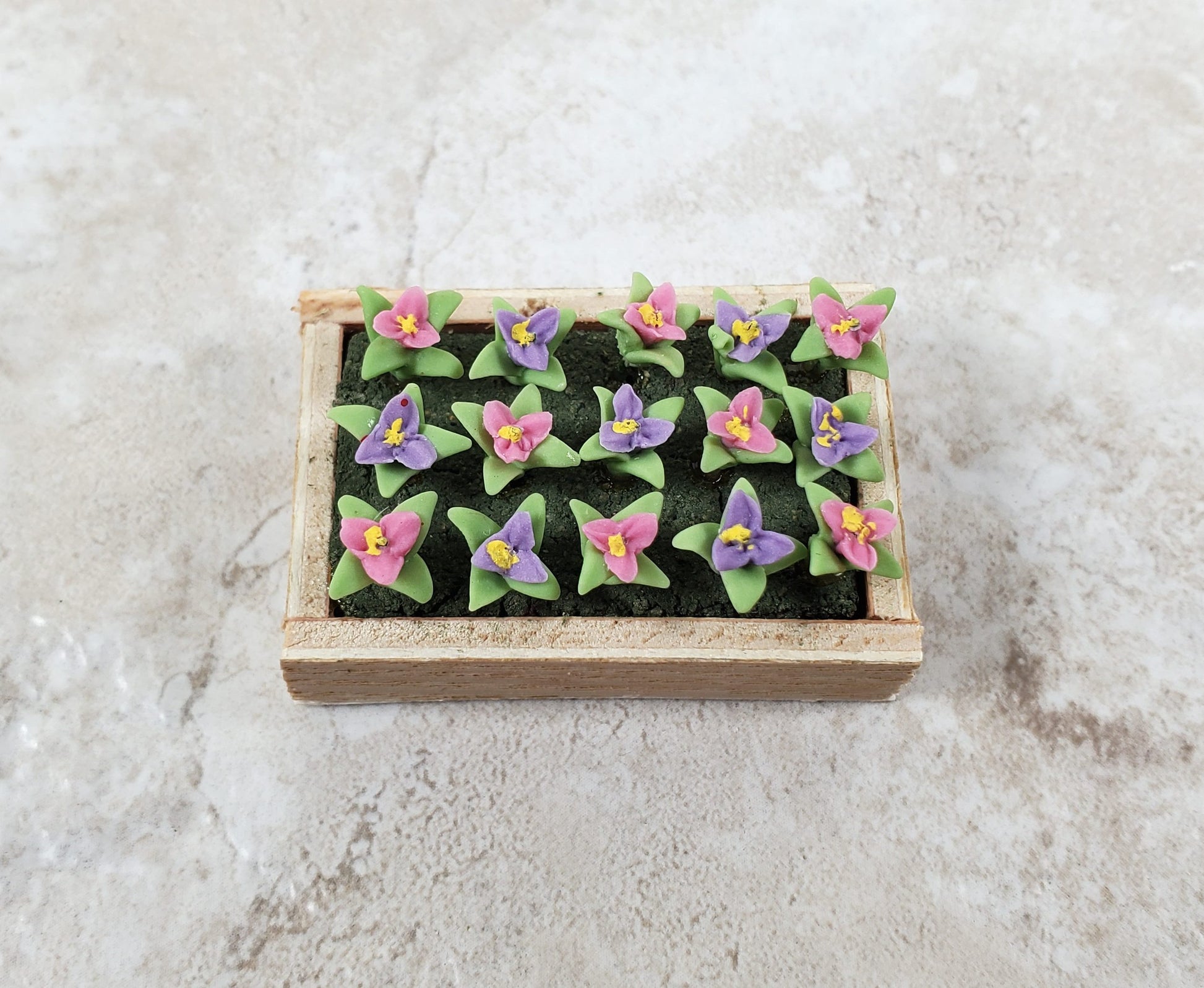 Dollhouse Colorful Seedlings in a Rectangular Wood Tray 1:12 Scale Miniature