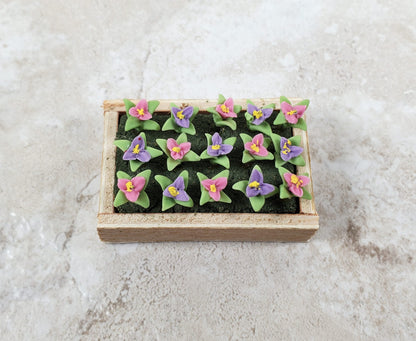 Dollhouse Colorful Seedlings in a Rectangular Wood Tray 1:12 Scale Miniature