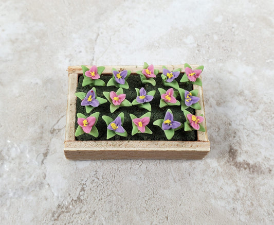 Dollhouse Colorful Seedlings in a Rectangular Wood Tray 1:12 Scale Miniature