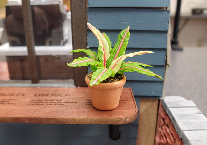 Dollhouse Houseplant Lady in Red Fern Terra Cotta Pot 1:12 Scale Miniature Plant
