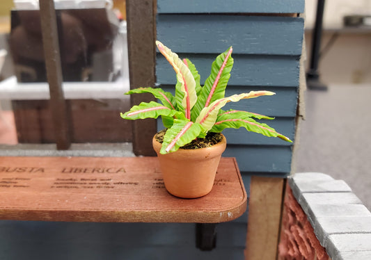 Dollhouse Houseplant Lady in Red Fern Terra Cotta Pot 1:12 Scale Miniature Plant