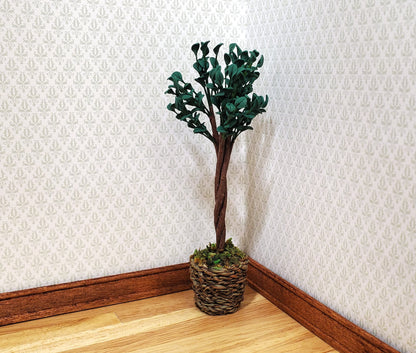 Dollhouse Medium Ficus Tree Houseplant in Woven Basket 1:12 Scale Miniature