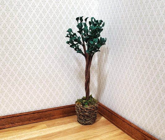 Dollhouse Medium Ficus Tree Houseplant in Woven Basket 1:12 Scale Miniature