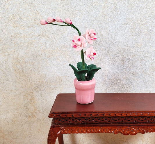 Dollhouse Miniature Pink Phalaenopsis Orchid in a Pink Ceramic Pot 1:12 Scale