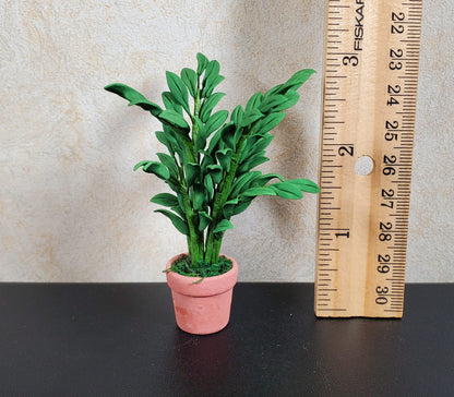 Dollhouse Potted Small Leaf Palm in a Terra Cotta Pot 1:12 Scale Miniature