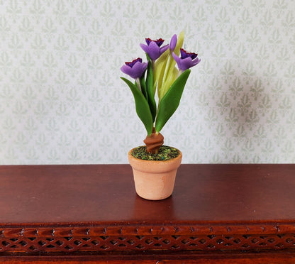 Dollhouse Purple Crocus Plant in a Terra Cotta Pot 1:12 Scale Miniature Plant