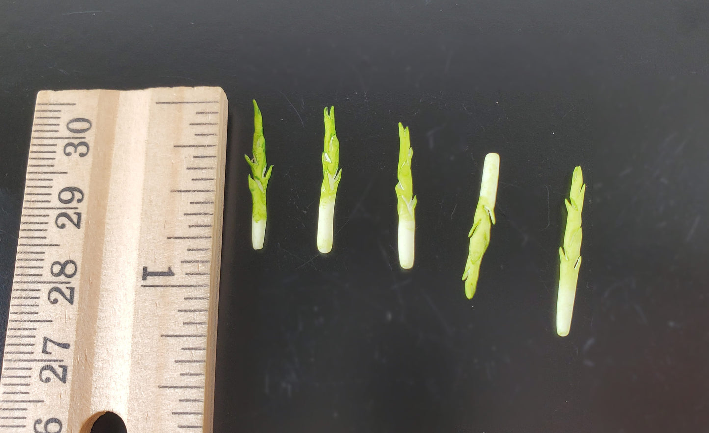 Dollhouse Asparagus Spikes 5 Pieces 1:12 Scale Miniature Food Vegetables