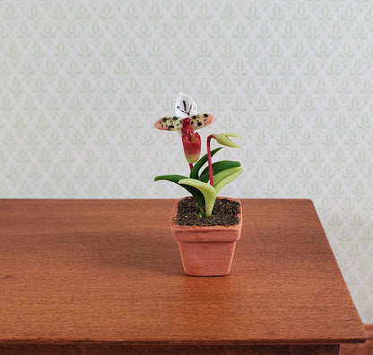 Dollhouse Flowering Plant Cup Orchid in Terra Cotta Planter 1:12 Scale Miniature