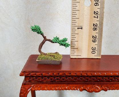 Dollhouse Bonsai Tree Prop Tiny Miniature 1:12 Scale Miniature Handmade