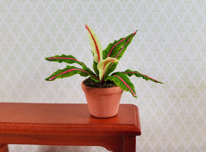 Dollhouse Houseplant Lady in Red Fern Terra Cotta Pot 1:12 Scale Miniature Plant