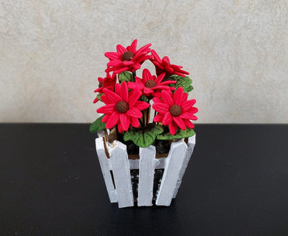 Dollhouse Dark Pink Daisies in a White Wood Picket Planter1:12 Scale Miniature
