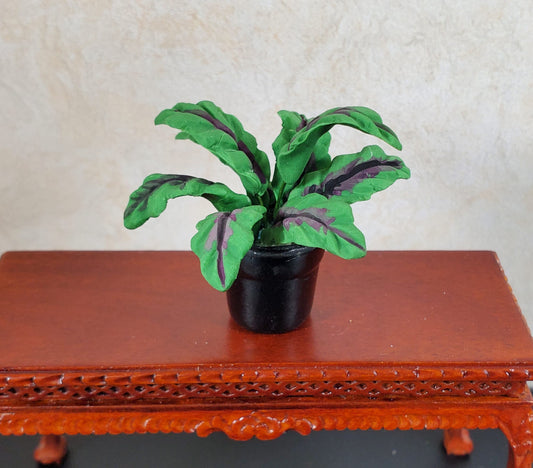 Dollhouse Broadleaf Fern Green Leaves Red Veins in Black Ceramic Pot 1:12 Scale