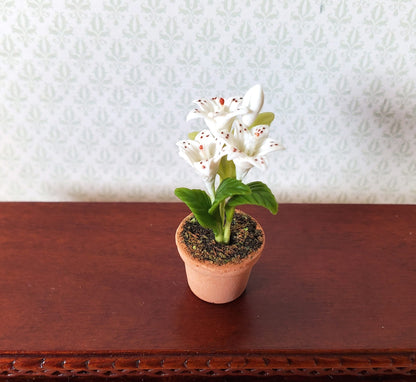Dollhouse Small White Lily in a Terra Cotta Pot 1:12 Scale Miniature Flowers
