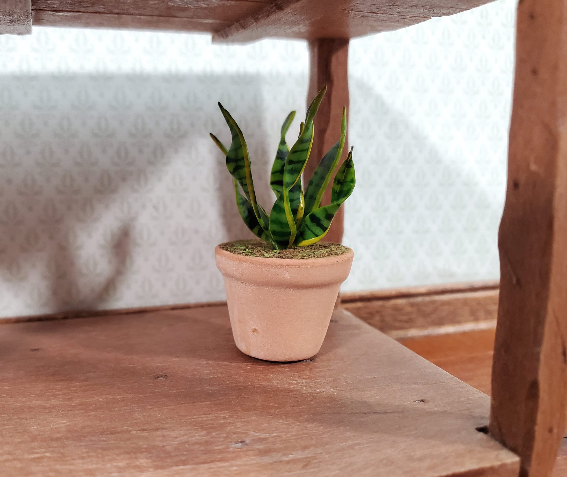 Dollhouse Houseplant Snake Plant Sansevieria Terra Cotta Planter 1:12 Scale
