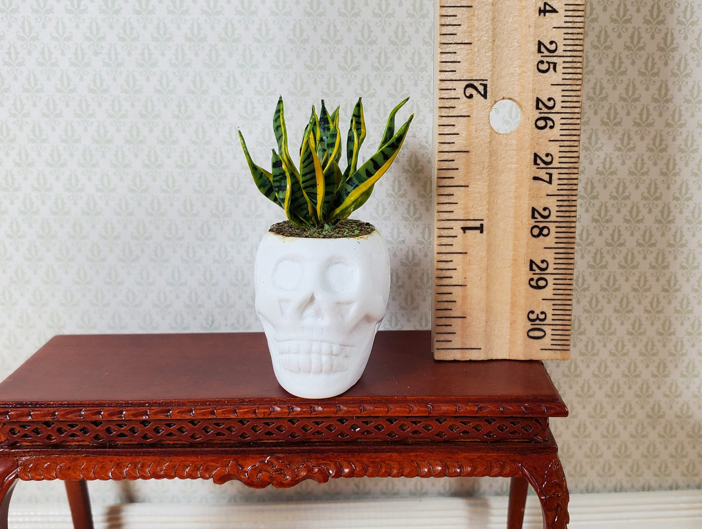 Dollhouse Snake Plant in a Large White Skull Planter Pot 1:12 Scale Halloween