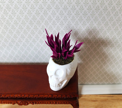 Dollhouse Blood Amaranth in a Large White Skull Planter Pot 1:12 Scale Miniature