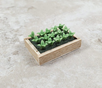Dollhouse Green Seedlings in a Rectangular Wood Tray 1:12 Scale Miniature