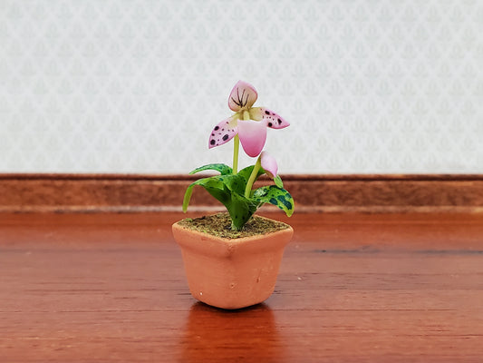 Dollhouse Potted Orchid Pink & White Flowering Plant 1:12 Scale Miniature