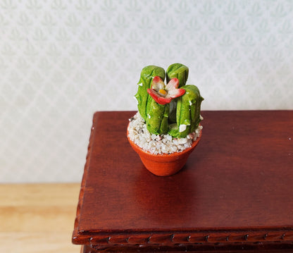 Dollhouse Flowering Cactus Plant in a Terra Cotta Planter 1:12 Scale Miniature