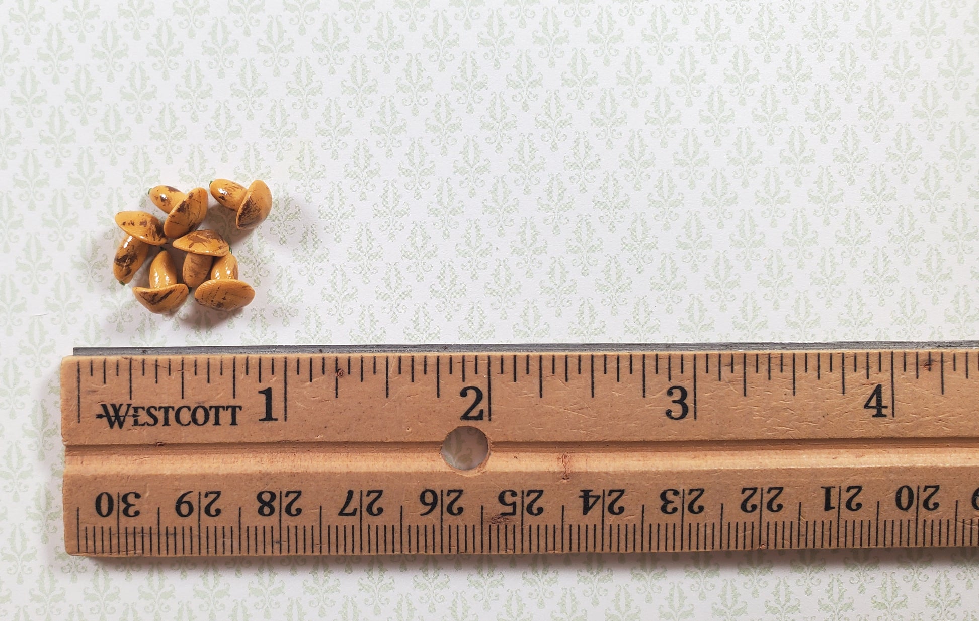 Dollhouse Mushroom Set of 6 1:12 Scale Miniature Food Kitchen Groceries