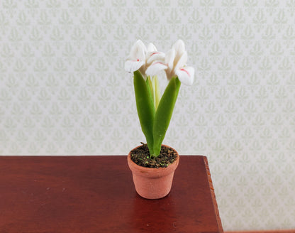 Dollhouse White Irises Plant in Terra Cotta Planter 1:12 Scale Miniature Garden