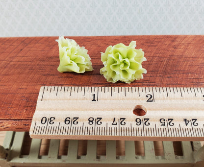Dollhouse Green Leaf Lettuce 2 Heads 1:12 Scale Miniature Kitchen Groceries