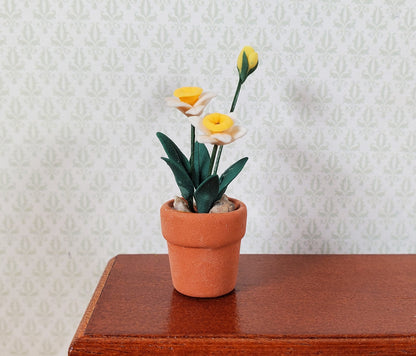 Dollhouse White & Peach Daffodils in a Terra Cotta Pot 1:12 Scale Miniature
