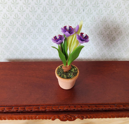 Dollhouse Purple Crocus Plant in a Terra Cotta Pot 1:12 Scale Miniature Plant